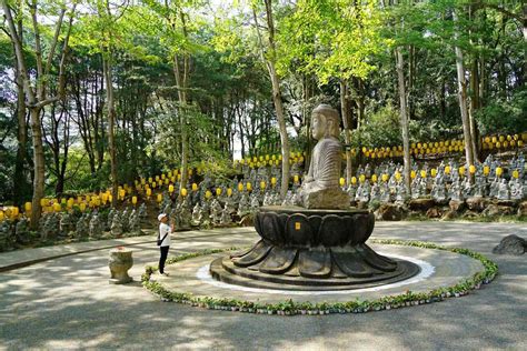 禪機山 仙佛寺|禪機山仙佛寺｜南投國姓景點/必拍五百羅漢IG拍照景 